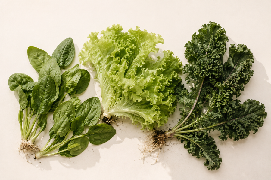 Indoor Vegetable Garden: Growing Vegetables in a Hydroponic Tower