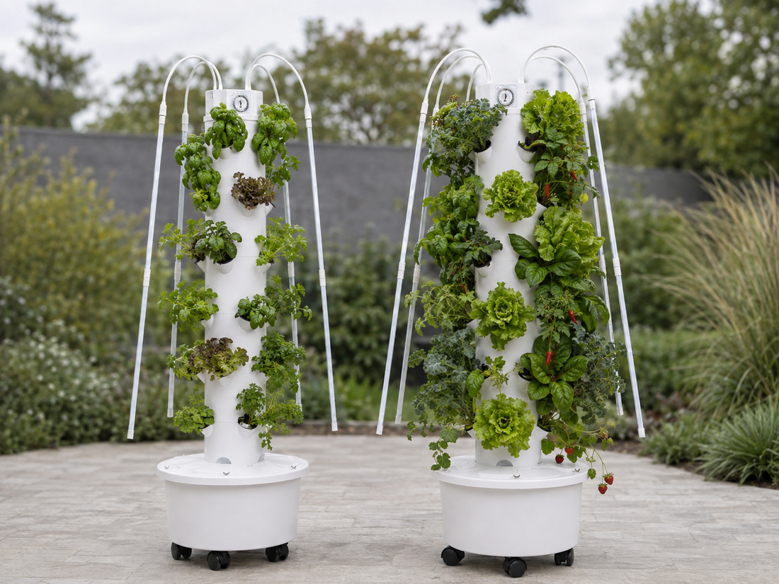 24 vs 40 Plants: Which Hyenjoyia Tower Should You Choose?