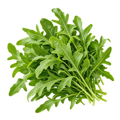Arugula