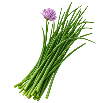 Chives