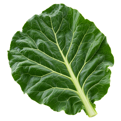 Collard Greens