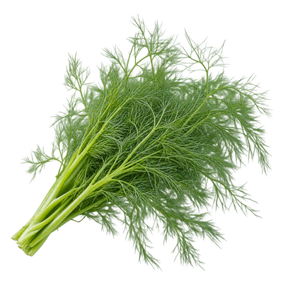 Fennel Fronds
