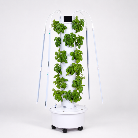 24-Plant Tower