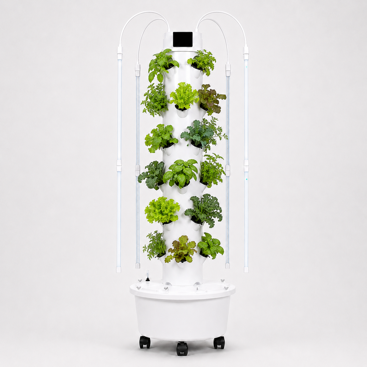 Week 2: Fully Grown