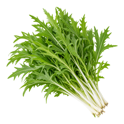 Mizuna