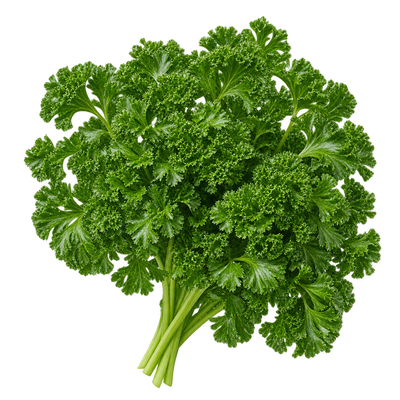 Parsley
