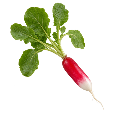 Radish With Greens