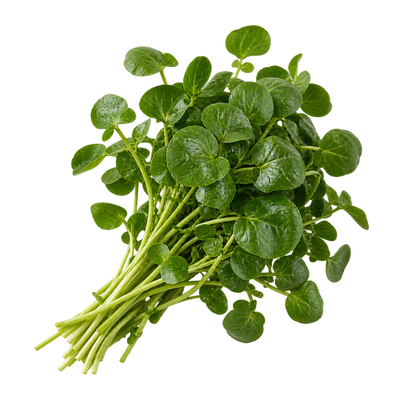 Watercress